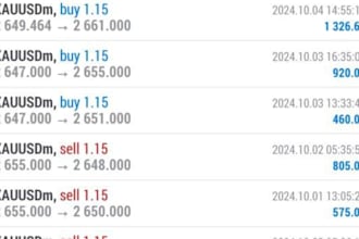 do profitable forex ea bot, forex trading robot, forex bot, forex trading bot