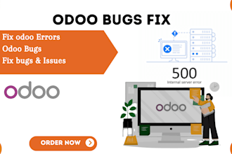 fix bugs, errors, and issues in odoo website or  odoo module