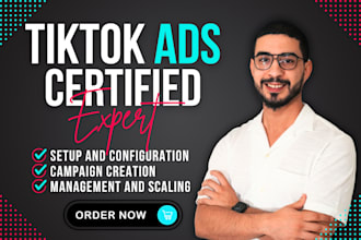 create and manage your tiktok campaign
