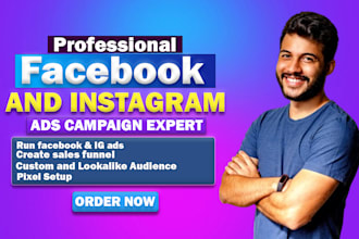 run facebook and instagram ads campaign and manage