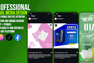 design professional posts and stories for instagram