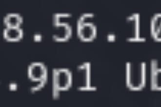 run vulnerability tests on your network create a report and give advice to fix