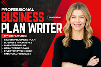 write investor ready business plan, business startup, business proposal