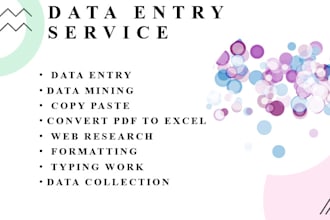 do data entry, web research, copy paste, formatting and PDF to excel conversion