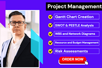 create a gantt chart, business plan, report for your project