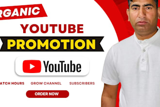 help you get your youtube channel monetized fast