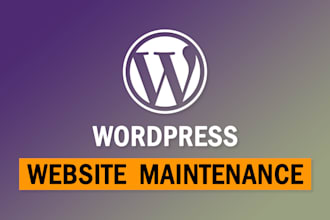 do monthly wordpress website maintenance