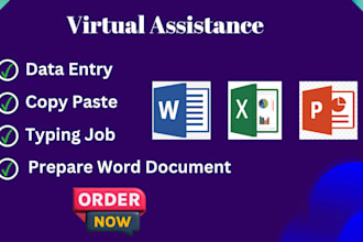 do data entry, data management and data assumption