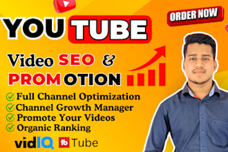 do best youtube video SEO expert optimize and top ranking