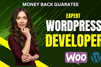 redesign, revamp, wordpress website design, fix,  optimization ecommerce website