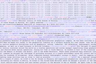 professional XML conversion services  fast and accurate
