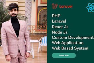 provide online portal, erp, crm, database management system