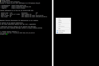 install windows on ubuntu server