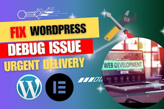 fix debug wordpress theme and plugging issues bug