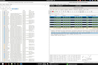 do professional malware analysis and reverse engineering with detailed report