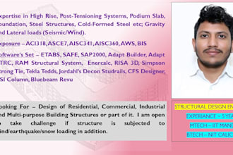 analyze and design rcc steel wood structures internationally