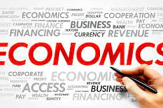 do research on economics, microeconomics, accounting, statistics analysis