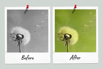restore and colorize your black and white photos