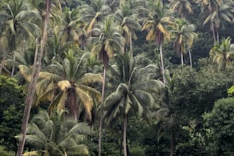 sell my landscape and nature photography and nature videos