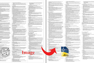 convert the text of the image to autocad