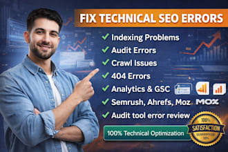 do technical seo, website audit, search console and indexing