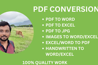 do pdf conversion to excel, word