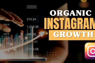 do instagram organic growth , marketing and manage your page
