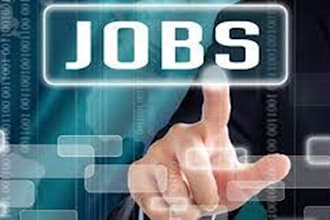 search and apply remote job applications and help you get online jobs