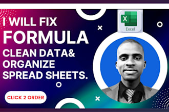 fix excel formulas, clean data, and organize spreadsheets