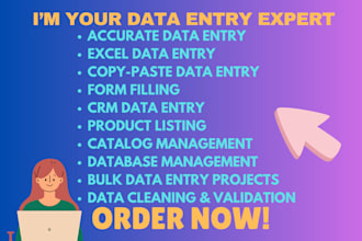do excel data tasks, file conversion, and typing jobs