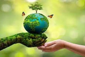 do ecological,physiological,autecology, synecology and ecosystem tasks