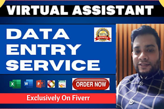 do data entry, copy paste, data mining, typing, email collection and research