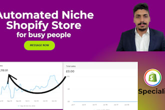build automated niche shopify dropshipping store or website