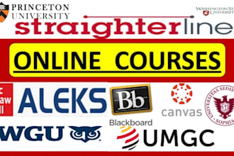help in online lesson, course and class tutoring