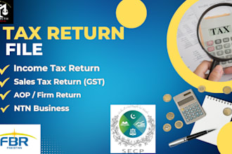 professionally prepare and submit your income tax return in fbr and become filer