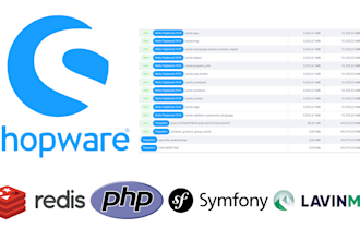 optimize your shopware 6 performance