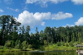 capture stunning nature photos for your brand or projects