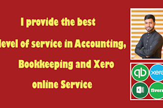 do accounting, reconciliation and bookkeeping using quickbooks xero amazon etc