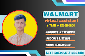 fully automate your amazon fba wholesale, walmart dropshipping store as VA