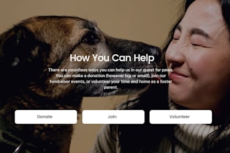 build nonprofit charity fundraising website with donation system