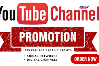 do USA youtube video promotion and USA channel monetization