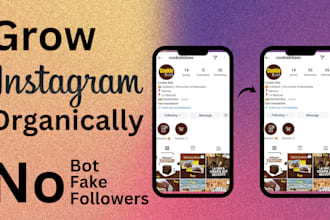 organically grow your instagram account