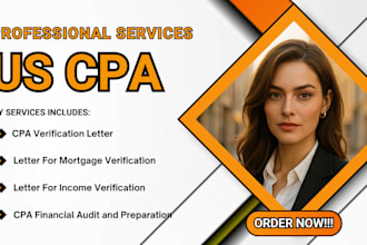 prepare income statement, audit financial statement, profit and loss preparation