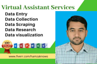 do professional VA data entry, web research typing jobs