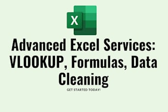provide advanced excel solutions with vlookup formulas and data cleaning