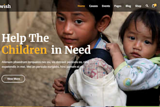 create nonprofit website, charity, donation, fundraising, ngo website