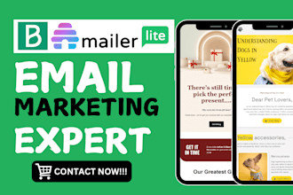setup brevo mailerlite beehiiv newsletter brevo automation beehive landing page