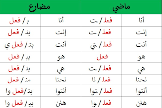 teach you colloquial levantine and formal fusha arabic