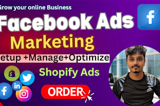 setup shopify facebook ads, instagram ads for high sales