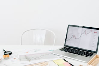 do project management, business, marketing plan, swot, pestle, research articles